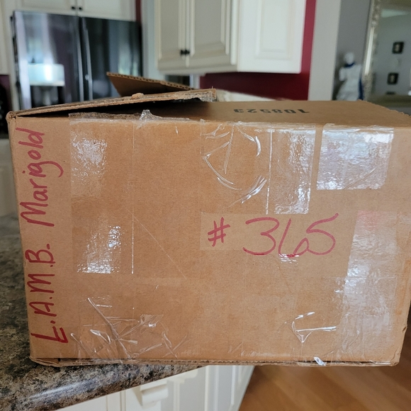 L.A.M.B. by Gwen Stefani Marigold Bag #365 - Picture 16 of 16